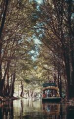 Xochimilco, memoria natural. María Sofía Hidalgo. México.